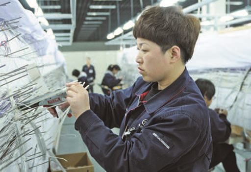 双手织就航空梦——记全国三八红旗手、江南（中国）沈飞线束厂技师郑秋菊
